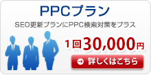 PPCプラン １回30,000円